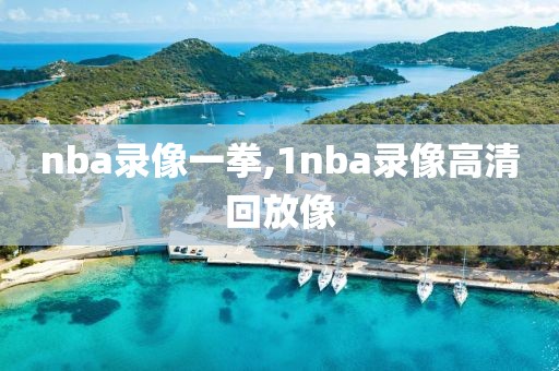 nba录像一拳,1nba录像高清回放像