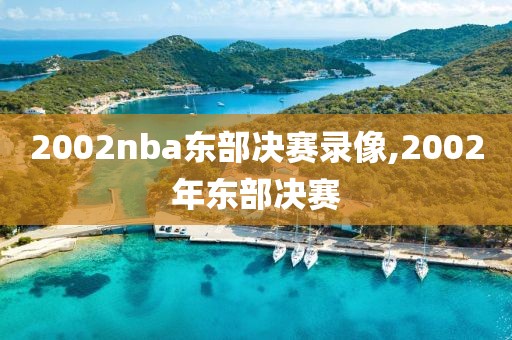 2002nba东部决赛录像,2002年东部决赛