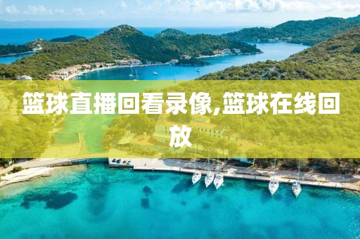 篮球直播回看录像,篮球在线回放